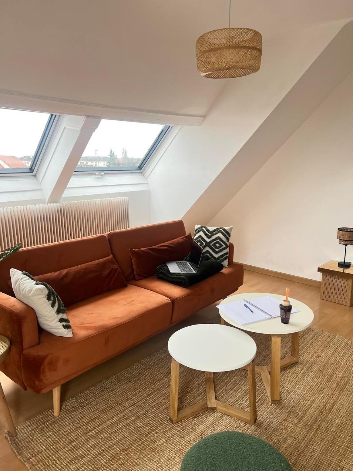 Balneo, Lumineux, Confort Colmar Exteriör bild