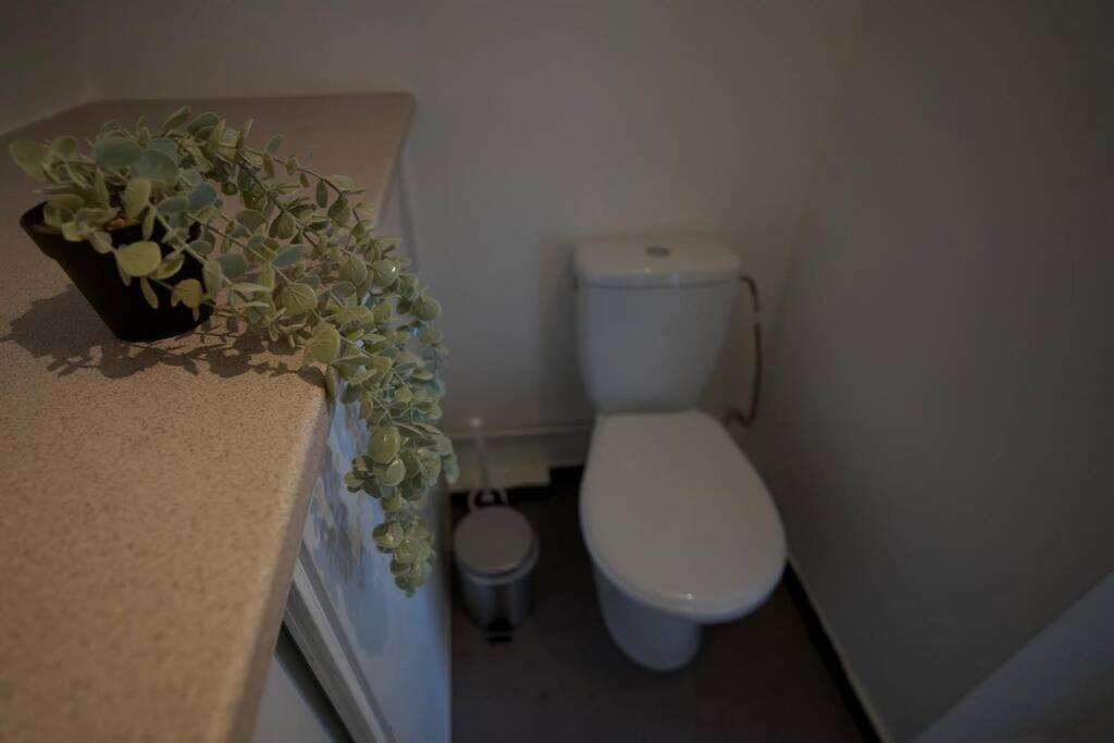 Balneo, Lumineux, Confort Colmar Exteriör bild